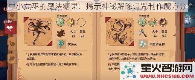 林中小女巫的魔法糖果:揭示神秘解除诅咒制作配方分享