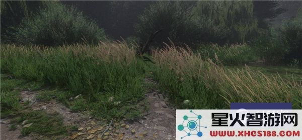 天国拯救卷心菜贼任务获取方法及其具体位置和丰厚奖励详解
