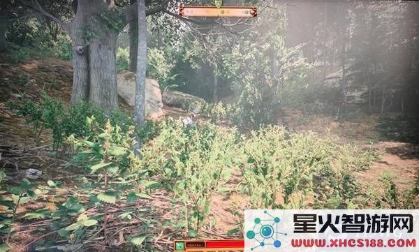 天国拯救2中颠茄与荨麻的位置详细解析与采集指南