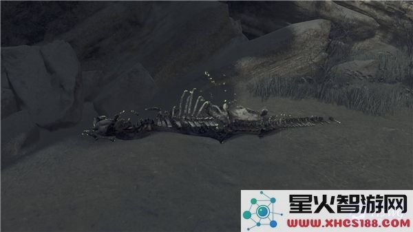 怪物猎人荒野骨冢详尽位置与最佳采集路线推荐