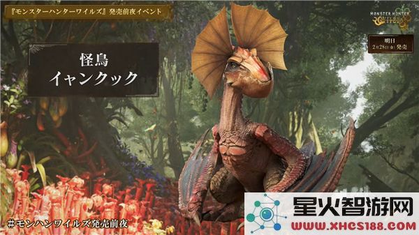 怪物猎人荒野怪鸟战斗攻略与掉落材料详细列表