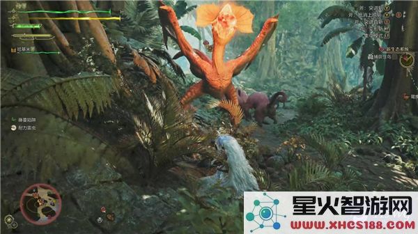 怪物猎人荒野怪鸟战斗攻略与掉落材料详细列表
