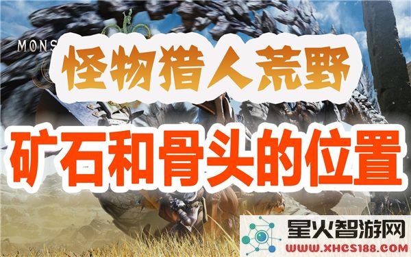 怪物猎人荒野里的所有矿石与骨头位置详解分享