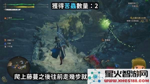 怪物猎人荒野苦虫获取方法和最佳位置攻略