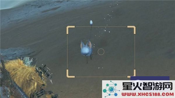 怪物猎人荒野沙野流星的详细位置及稀有环境生物分布图解