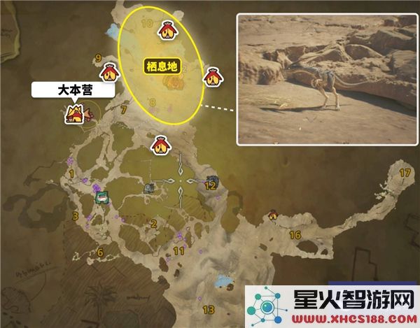 怪物猎人荒野黑风切龙详细位置介绍_稀有环境生物位置图解分析