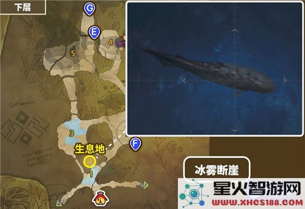 怪物猎人荒野稀有环境生物卵弓鳍鱼的详细位置介绍及地图展示