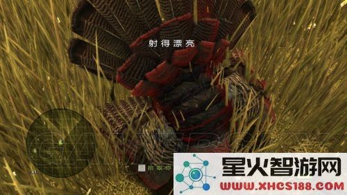 猎人的奖杯2详细攻略与图文流程指南