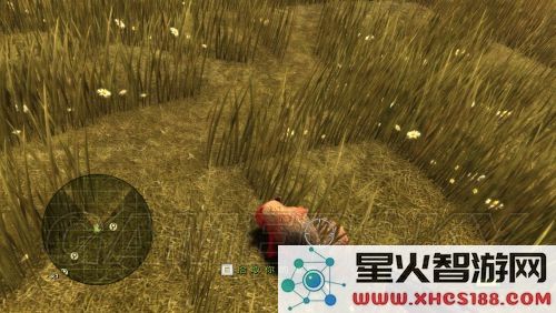 猎人的奖杯2详细攻略与图文流程指南