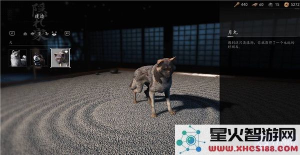 刺客信条影忠犬复仇支线任务详细流程指南