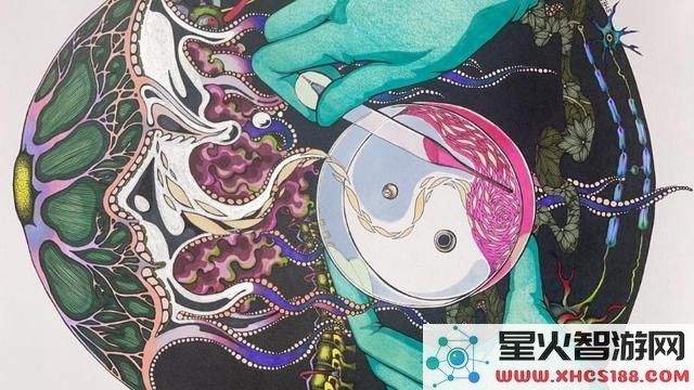 干细胞的奥秘探索：“我们从何而来、将去向何方？”