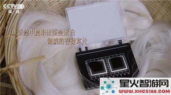 中国科学家创新研制首款蚕丝硬盘：实现数据存储与DNA保存双重功能