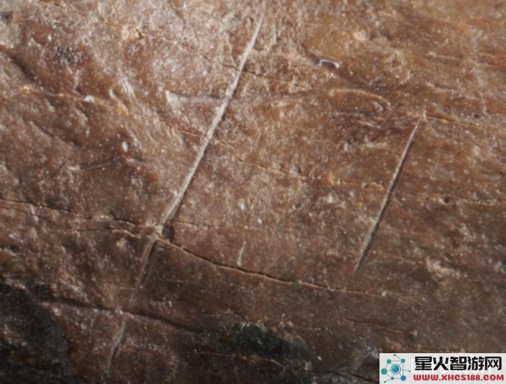 古代骨骼切割痕迹揭示32万年前人类时尚潮流的奥秘