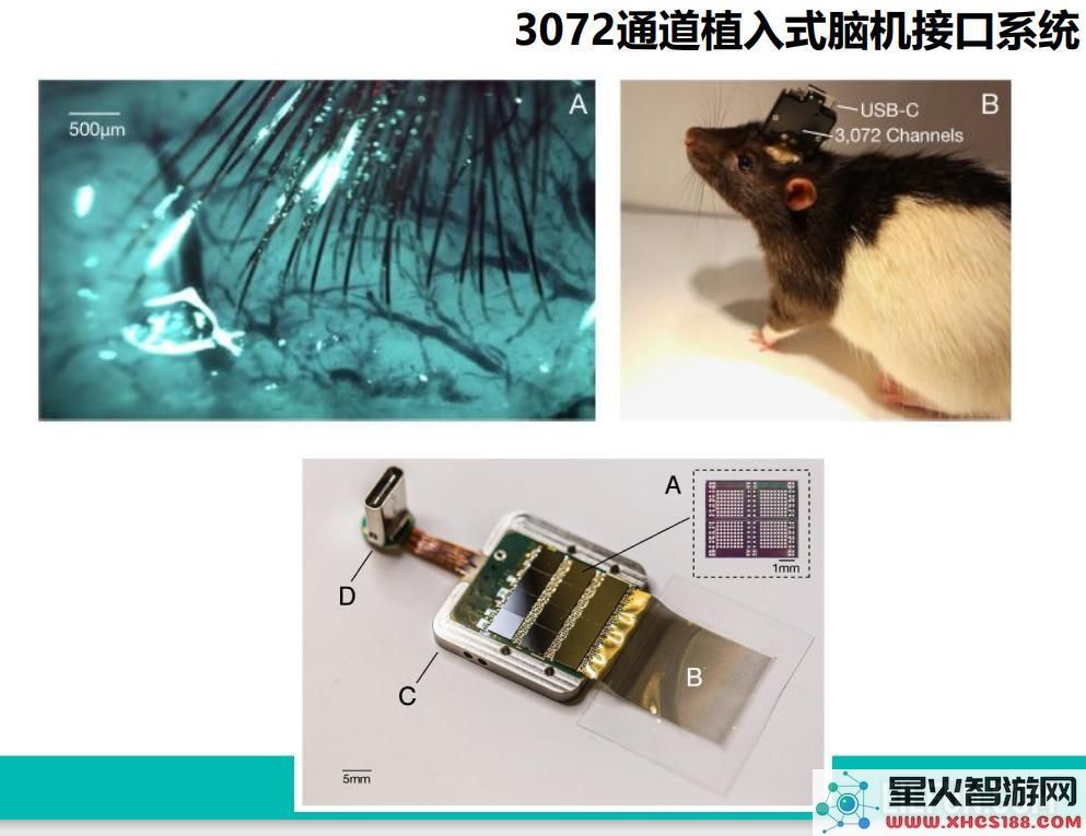 从《流浪地球2》视角看脑机接口BCI技术的最新发展与应用前景