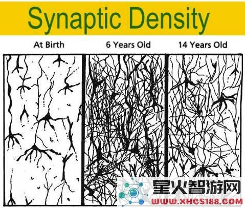 探寻ChatGPT背后的关键技术与原理解析