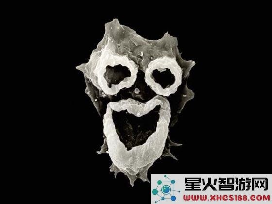 男子因用自来水洗脸感染致命“食脑虫”，死亡率惊人高达97％