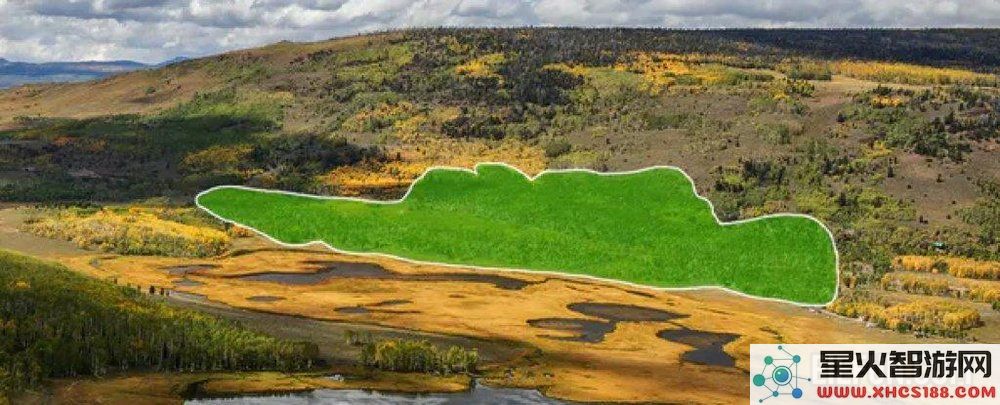 研究发现，地球上最大生物正面临被逐渐消耗的威胁