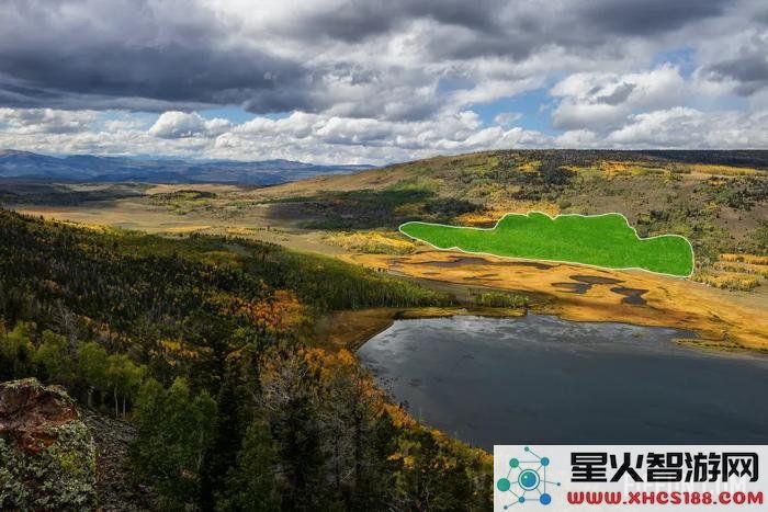 研究发现，地球上最大生物正面临被逐渐消耗的威胁