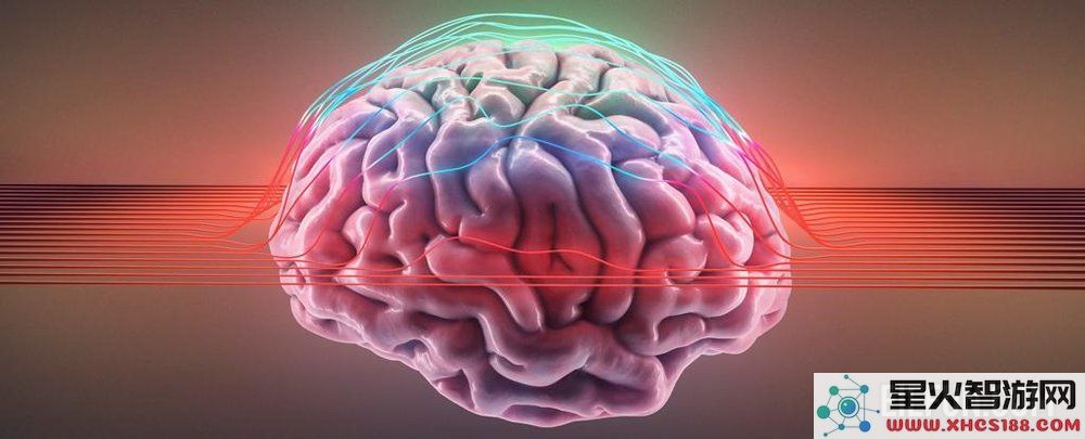 神经科学专家分享保持大脑健康的五个关键要素