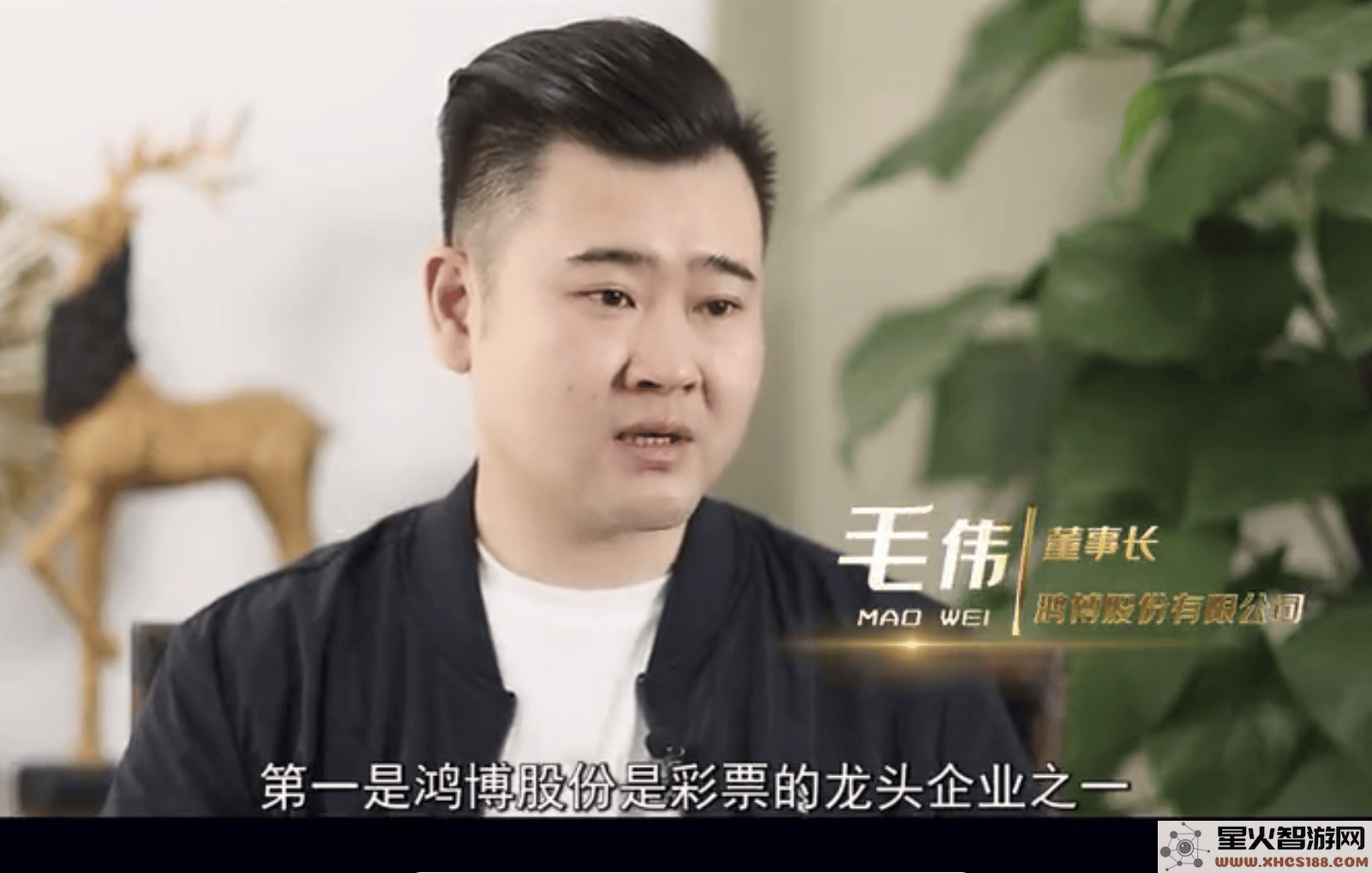 鸿博股份的算力传奇：在跨界AI领域的辉煌成就与隐秘疑云