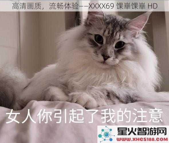 高清画质，流畅体验——XXXX69馃崋馃崋HD