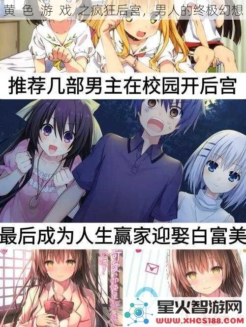 黄色游戏之疯狂后宫，男人的终极幻想