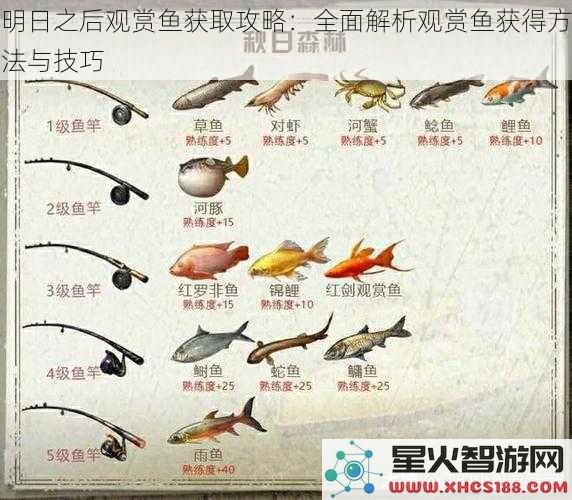 明日之后观赏鱼获取攻略：全面解析观赏鱼获得方法与技巧