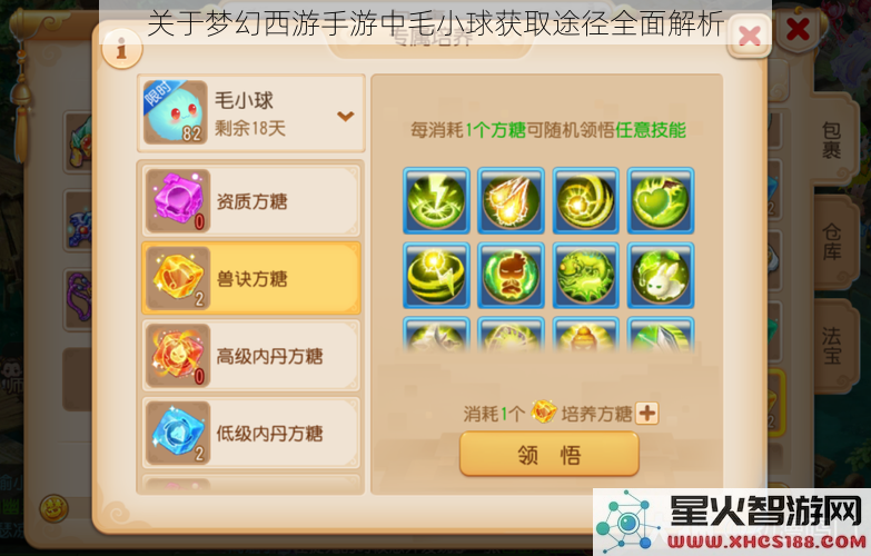 关于梦幻西游手游中毛小球获取途径全面解析