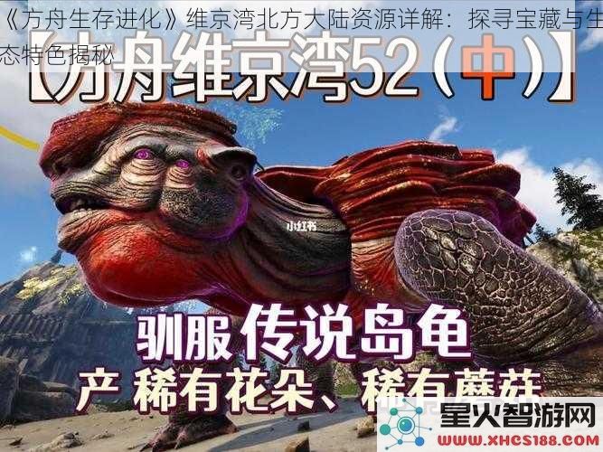 《方舟生存进化》维京湾北方大陆资源详解：探寻宝藏与生态特色揭秘