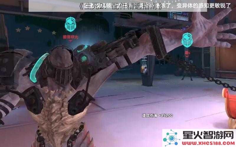 《生死2：配件精选指南》