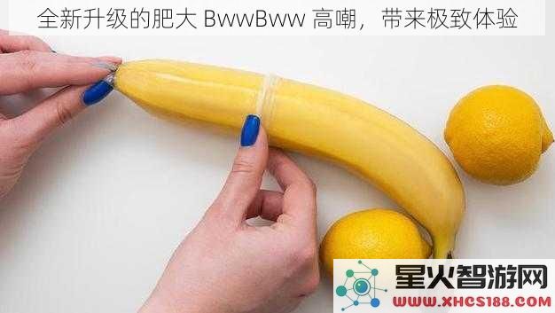 全新升级的肥大BwwBww高嘲，带来极致体验