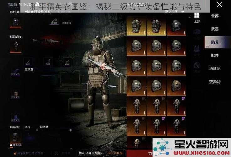 和平精英衣图鉴：揭秘二级防护装备性能与特色
