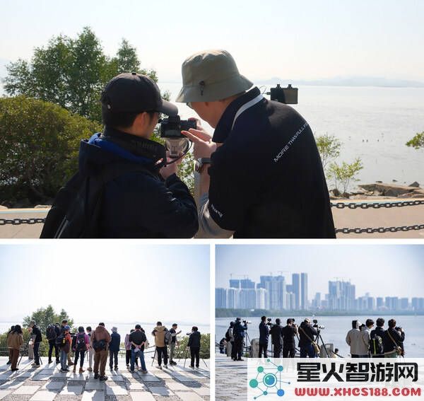 富士胶片在深圳湾举办超长焦摄影盛会，共同领略自然生态的独特魅力