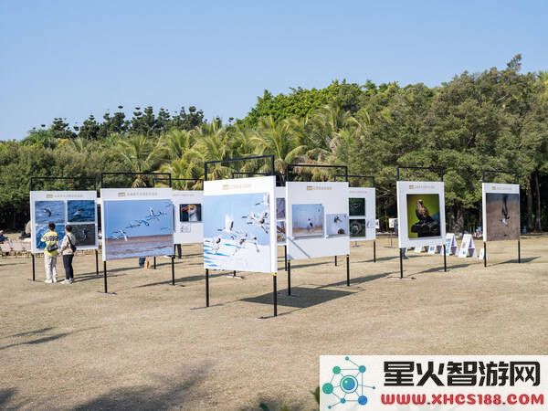 富士胶片在深圳湾举办超长焦摄影盛会，共同领略自然生态的独特魅力