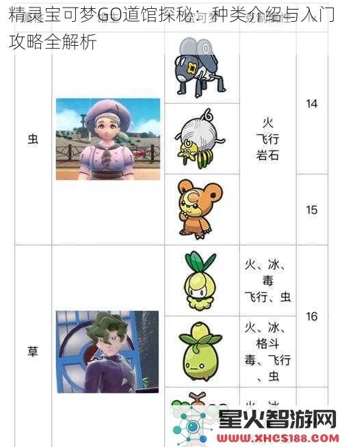精灵宝可梦GO道馆探秘：种类介绍与入门攻略全解析