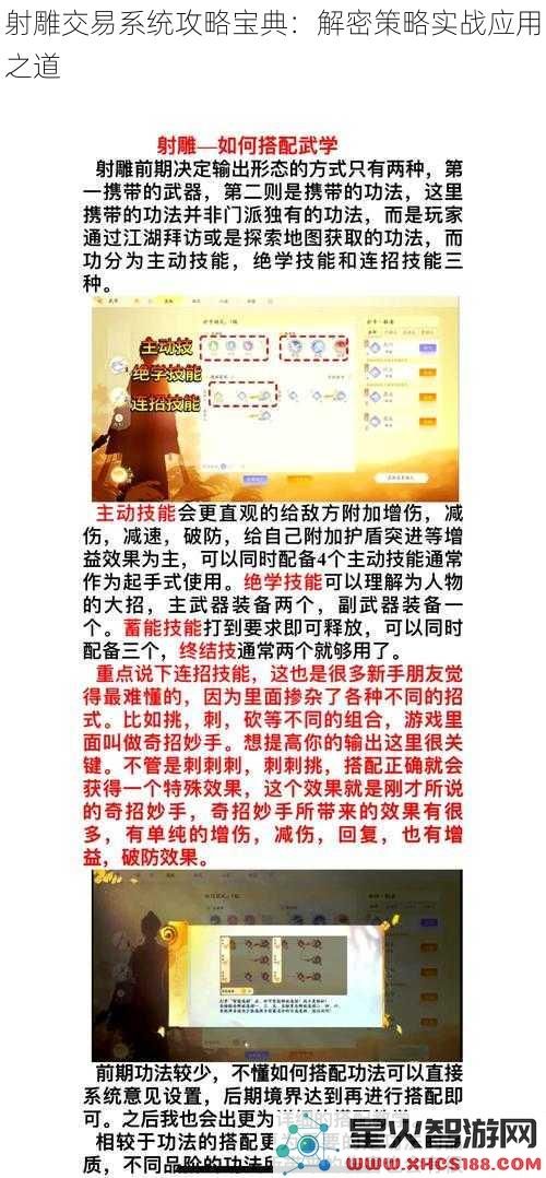 射雕交易系统攻略宝典：解密策略实战应用之道
