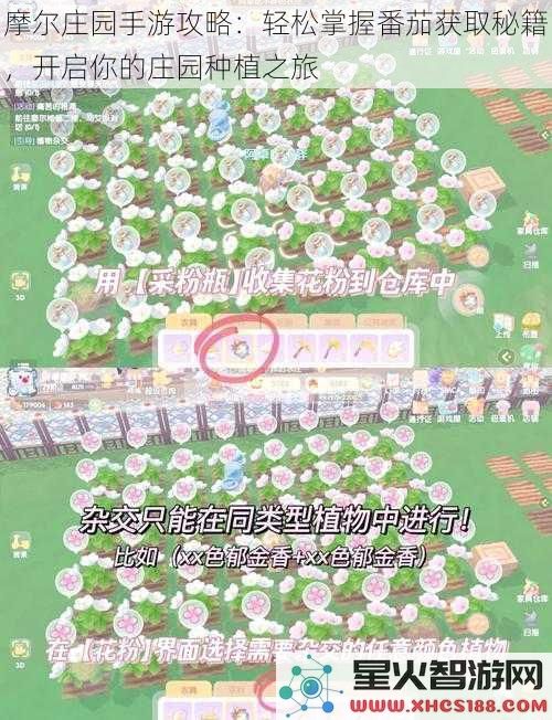 摩尔庄园手游攻略：轻松掌握番茄获取秘籍，开启你的庄园种植之旅